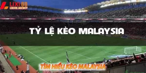 Cách đọc kèo cược Malaysia.